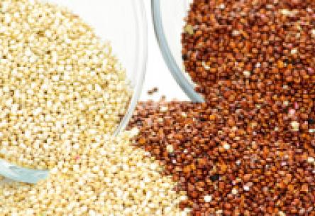 Photo: Bowls of white and red quinoa
